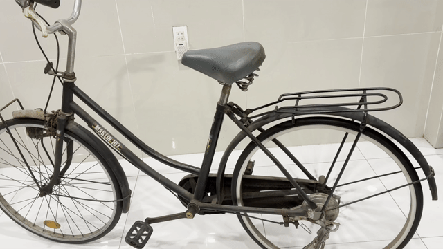 Xe đạp Martin 107 Đen Bánh Đúc. Mua bán Xe đạp tại Quận Bình Thạnh Tp Hồ Chí Minh được đăng bởi Hương hình 1
