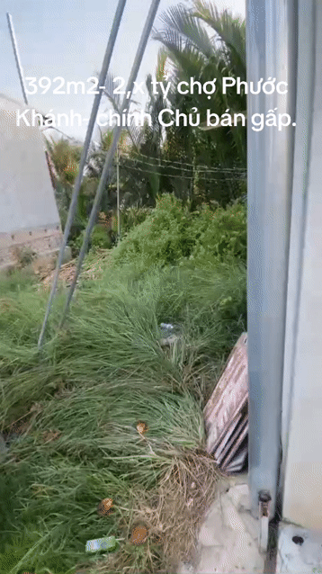 Mua bán Đất Huyện Nhơn Trạch Đồng Nai diện tích 392 m² giá 1,69 tỷ