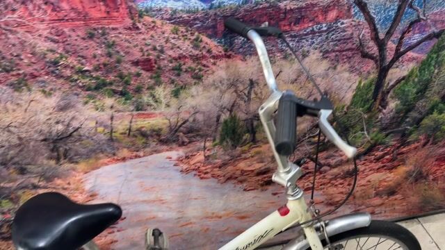 Xe đạp gấp Nhật khung nhôm 20 inch. Mua bán Xe đạp tại Quận Tân Bình Tp Hồ Chí Minh được đăng bởi Bbb hình 1