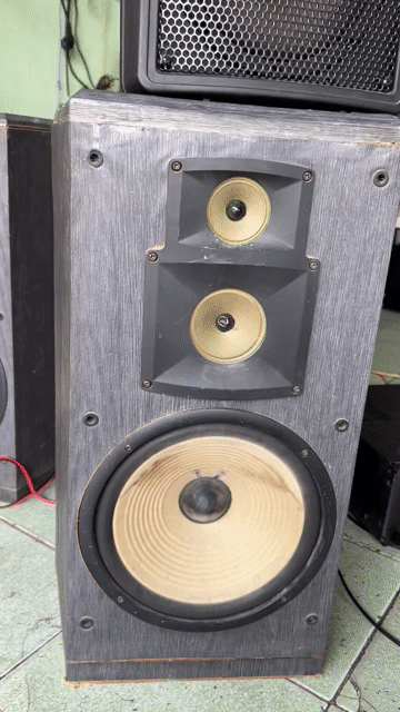 Parramax bass 25 từ đôi mất lưỡi... Mua bán Tivi, Âm thanh tại Thành phố Thủ Đức Tp Hồ Chí Minh được đăng bởi Hưng Amply  hình 1