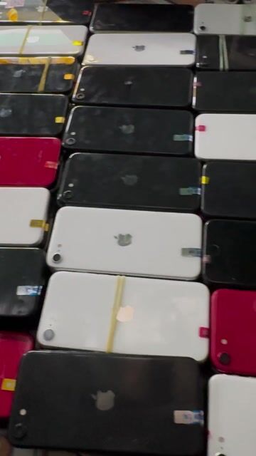 Apple iPhone SE 2 Đỏ Đen Trắng. Mua bán Điện thoại tại Huyện Tam Nông Đồng Tháp được đăng bởi Nguyen Hong Nhut hình 1