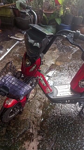 Xe đạp điện màu Đỏ. Mua bán Xe đạp tại Quận 11 Tp Hồ Chí Minh được đăng bởi Thanh Tú  hình 1