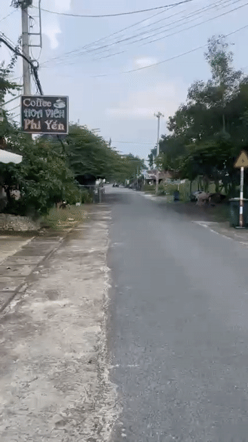 Mua bán Nhà ở Huyện Củ Chi Tp Hồ Chí Minh diện tích 1065 m² giá 37 tỷ