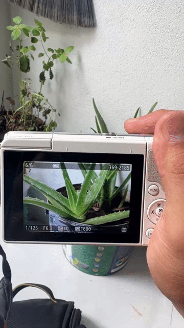 Máy ảnh Canon M10 Trắng. Mua bán Máy ảnh, Máy quay tại Huyện Hóc Môn Tp Hồ Chí Minh được đăng bởi Long Đại hình 1
