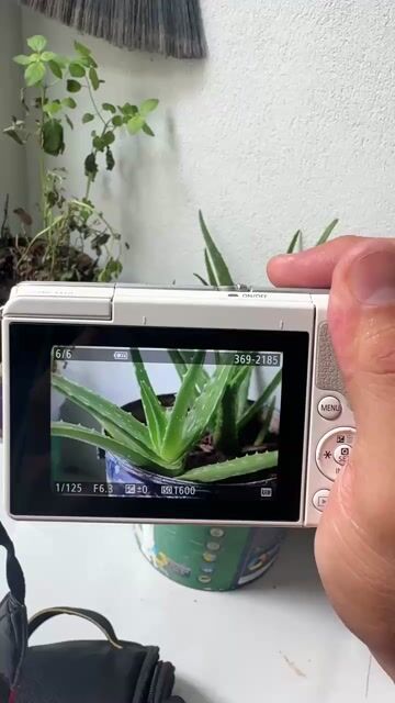 Máy ảnh Canon M10 Trắng. Mua bán Máy ảnh, Máy quay tại Huyện Hóc Môn Tp Hồ Chí Minh được đăng bởi Long Đại hình 1