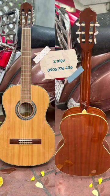 Đàn guitar Gakubun 08041 gỗ Nâu sáng. Mua bán Nhạc cụ tại Quận Cẩm Lệ Đà Nẵng được đăng bởi Đặng Minh Hiền hình 1