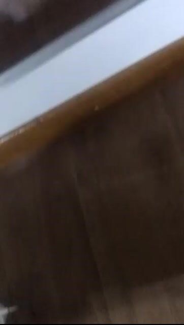 Model - Alessia_Lee toys