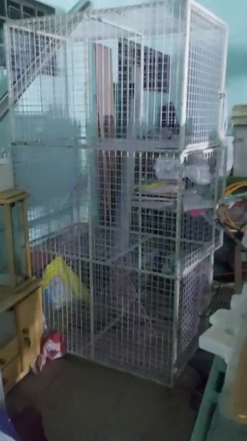chuồng inox sắt❤️🦮🐈‍⬛ 3 tầng 2 tầng❤️💚💛 chó mèo. Mua bán Phụ kiện, Thức ăn, Dịch vụ tại Quận 8 Tp Hồ Chí Minh được đăng bởi Cửa Hàng Thanh Lý Đồ Cũ Mới hình 1