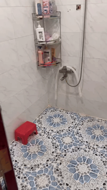 Cho thuê Phòng trọ Quận Tân Phú Tp Hồ Chí Minh diện tích 15 m² giá 3 triệu/tháng