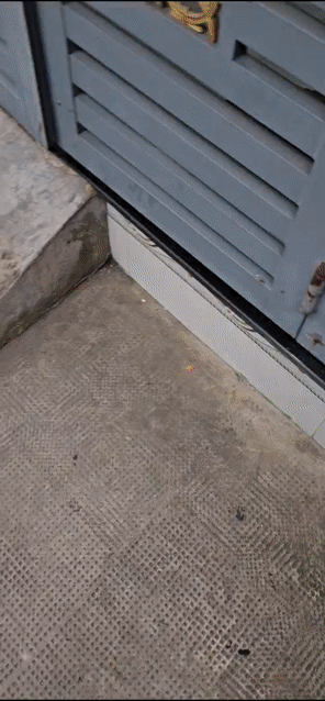 Cho thuê Nhà ở Huyện Bình Chánh Tp Hồ Chí Minh diện tích 60 m² giá 3,9 triệu/tháng