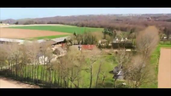 La culture battue par les vents de mer