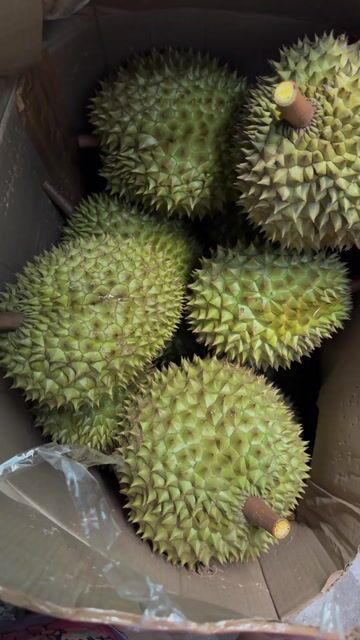 Sầu riêng Vườn 1kg. Mua bán Đồ ăn, thực phẩm và các loại khác tại Quận 8 Tp Hồ Chí Minh được đăng bởi Lê Ngọc Minh Tâm hình 1