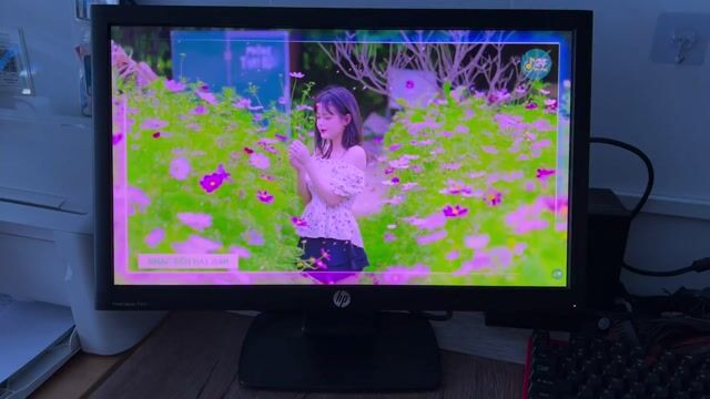 Màn hình HP ProDisplay P201 20 inch. Mua bán Phụ kiện (Màn hình, Chuột...) tại Thành phố Cà Mau Cà Mau được đăng bởi UYVU PC hình 1