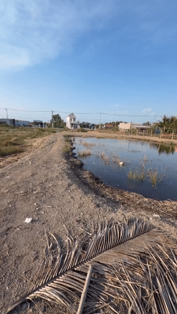 Mua bán Đất Huyện Cần Giờ Tp Hồ Chí Minh diện tích 300 m² giá 4,5 tỷ