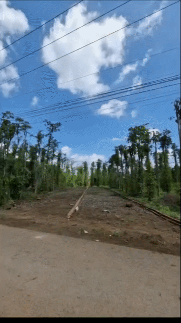 Mua bán Đất Huyện Xuân Lộc Đồng Nai diện tích 360 m² giá 1,3 tỷ