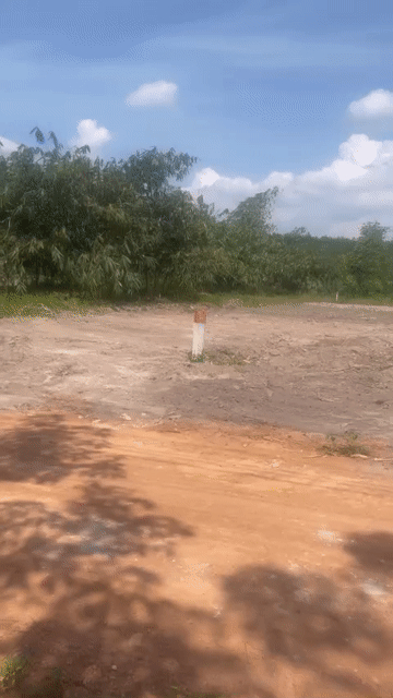 Mua bán Đất Huyện Dầu Tiếng Bình Dương diện tích 2487 m² giá 1,111 tỷ