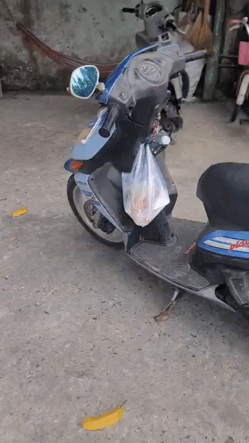 Honda Click màu Xanh con chạy tôt. Mua bán Xe máy tại Huyện Bình Chánh Tp Hồ Chí Minh được đăng bởi hoàng hữu  hình 1