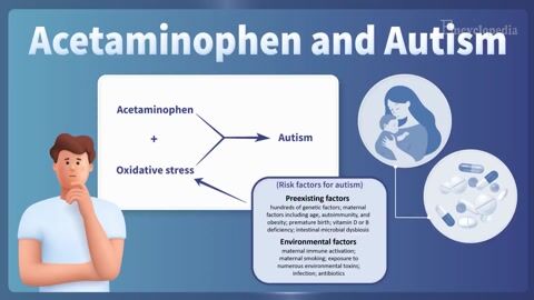 Encyclopedia-Acetaminophen in the Etiology of ASD