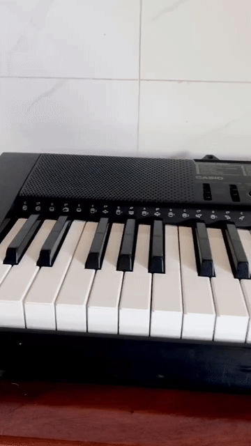 đàn Organ Casio CTK-1100 đen. Mua bán Nhạc cụ tại Thành phố Pleiku Gia Lai được đăng bởi VMH hình 1