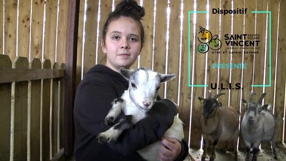 Psychologue Médiation Animale par Inès