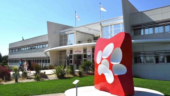 Le secret de la main