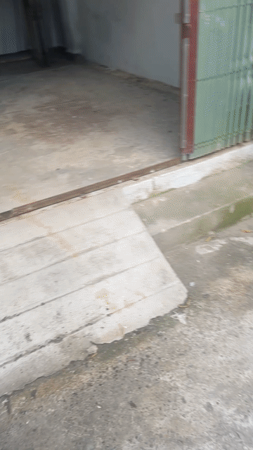 Cho thuê Nhà ở Quận 12 Tp Hồ Chí Minh diện tích 100 m² giá 7 triệu/tháng