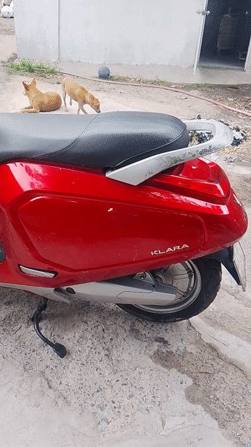 Thanh lý Klara. Mua bán Xe máy tại Huyện Hóc Môn Tp Hồ Chí Minh được đăng bởi Hoàng Lam hình 1