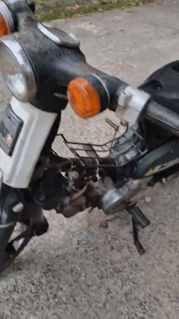 Honda Cub 81 Cổ điển Xanh rêu Đã qua sử dụng. Mua bán Xe máy tại Quận 8 Tp Hồ Chí Minh được đăng bởi Phát Minhon hình 1