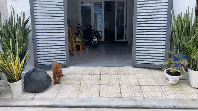 Cho thuê Nhà ở Thành phố Thủ Đức Tp Hồ Chí Minh diện tích 100 m² giá 9 triệu/tháng