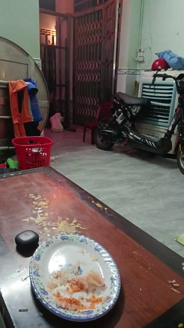 Chó Bull Pháp Bò sữa. Mua bán Chó tại Thành phố Biên Hòa Đồng Nai được đăng bởi Nguyễn Trần Minh Tâm hình 1