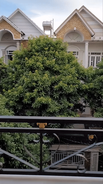 Cho thuê Nhà ở Huyện Hóc Môn Tp Hồ Chí Minh diện tích 84 m² giá 12 triệu/tháng