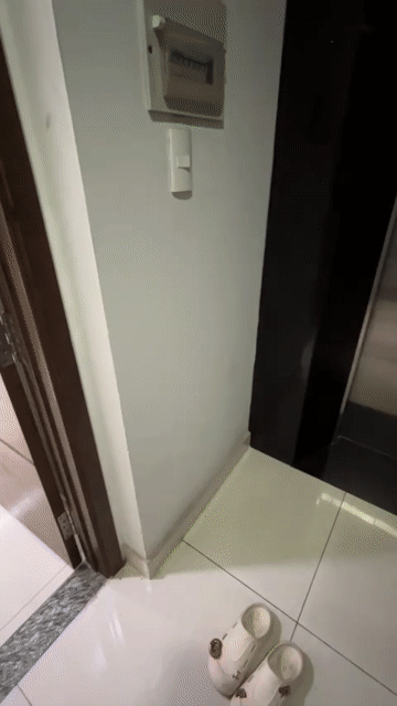 Cho thuê Căn hộ Chung cư Thành phố Thủ Đức Tp Hồ Chí Minh diện tích 30 m² giá 6 triệu/tháng