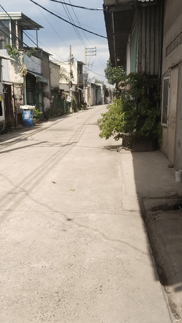 Cho thuê Văn phòng, Mặt bằng kinh doanh Huyện Bình Chánh Tp Hồ Chí Minh diện tích 330 m² giá 16 triệu/tháng