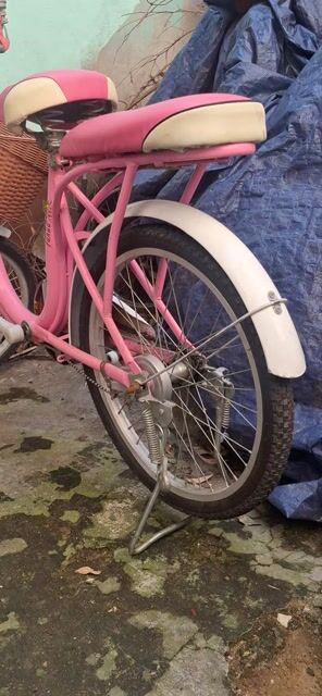 Xe đạp nữ màu Hồng. Mua bán Xe đạp tại Quận Thanh Khê Đà Nẵng được đăng bởi nguyễn hoàng tấn hình 1