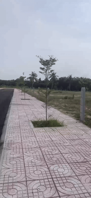 Mua bán Đất Huyện Cam Lâm Khánh Hòa diện tích 260 m² giá 2,21 tỷ