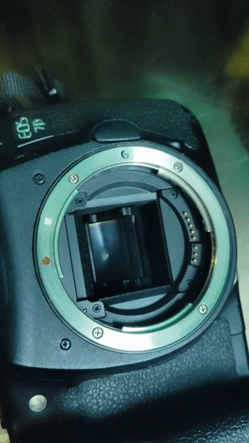 Máy ảnh Canon 7D Đen. Mua bán Máy ảnh, Máy quay tại Huyện Nhà Bè Tp Hồ Chí Minh được đăng bởi Trung Trần hình 1