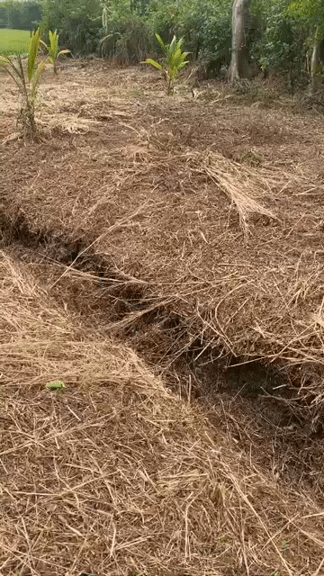 Mua bán Đất Thành phố Long Khánh Đồng Nai diện tích 3200 m² giá 1,35 tỷ
