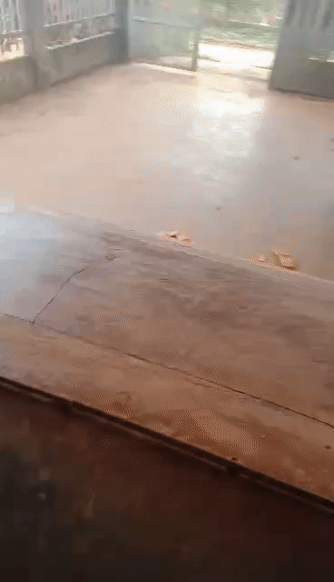 Mua bán Nhà ở Huyện Đắk Song Đắk Nông diện tích 666 m² giá 1,1 tỷ