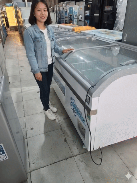 Tủ đông Alaska 600 lít Kính lùa. Mua bán Tủ lạnh tại Huyện Cần Giờ Tp Hồ Chí Minh được đăng bởi Thanh Hải hình 1