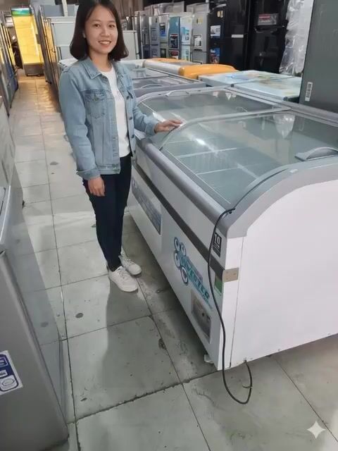 Tủ đông Alaska 600 lít Kính lùa. Mua bán Tủ lạnh tại Huyện Cần Giờ Tp Hồ Chí Minh được đăng bởi Thanh Hải hình 1