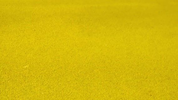 La force du handicap