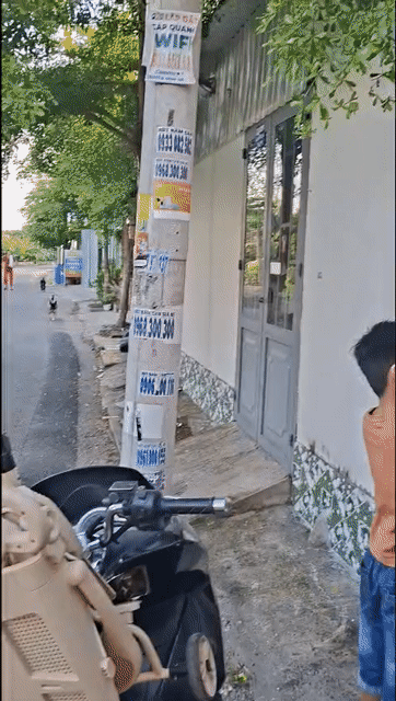 Cho thuê Nhà ở Quận 12 Tp Hồ Chí Minh diện tích 40 m² giá 5 triệu/tháng