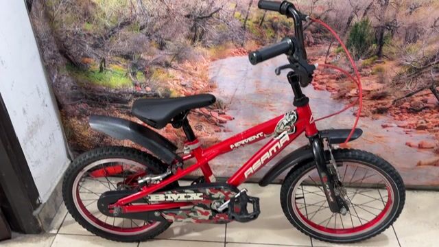 Xe trẻ em ASAMA đỏ 16 inch. Mua bán Xe đạp tại Quận Tân Bình Tp Hồ Chí Minh được đăng bởi Bbb hình 1