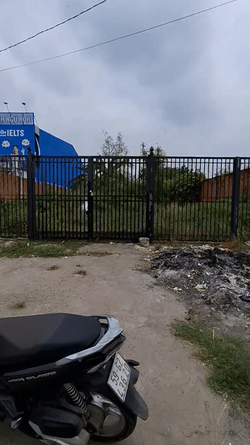 Mua bán Đất Huyện Hóc Môn Tp Hồ Chí Minh diện tích 902 m² giá 22,5 tỷ