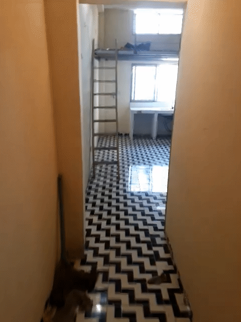 Cho thuê Phòng trọ Quận Hà Đông Hà Nội diện tích 25 m² giá 2,5 triệu/tháng