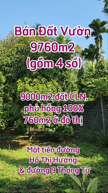 Mua bán Đất Thành phố Long Khánh Đồng Nai diện tích 9760 m² giá 125 tỷ