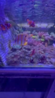 Aquarioculteur, un métier moteur