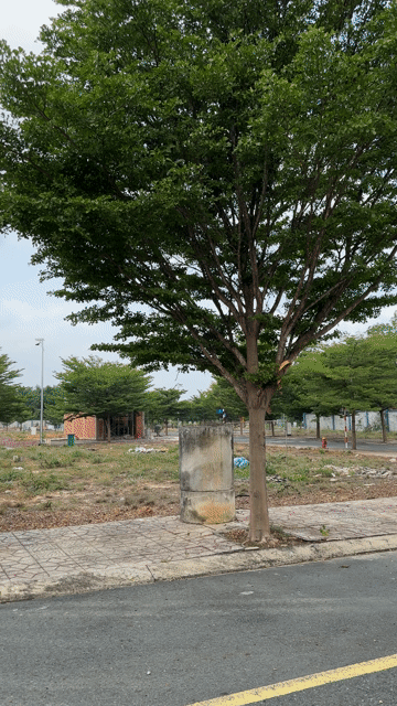 Mua bán Đất Thị xã Bến Cát Bình Dương diện tích 80 m² giá 1,22 tỷ