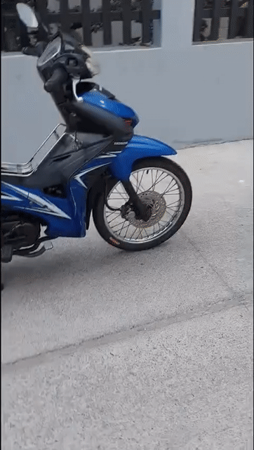 Honda Wave RSX 2011 Xanh đen. Mua bán Xe máy tại Quận 7 Tp Hồ Chí Minh được đăng bởi Gia Bảo  hình 1