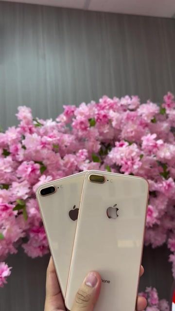 8Plus zin keng new bh 12 thangz. Mua bán Điện thoại tại Thành phố Thuận An Bình Dương được đăng bởi danh cam táo hình 1